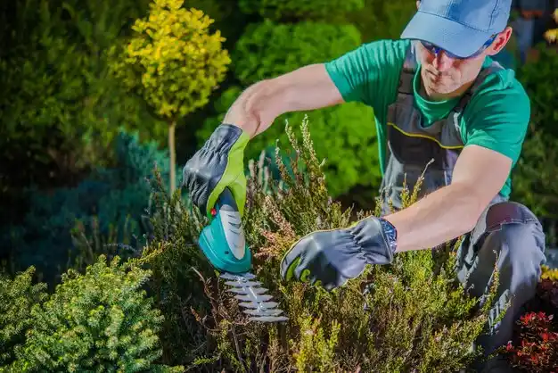 landscaping services Lakes of the North